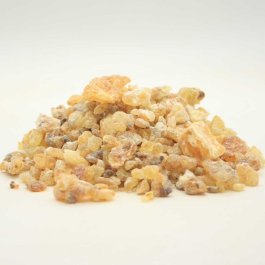 Frankincense - Maydi aka Boswellia Frereana