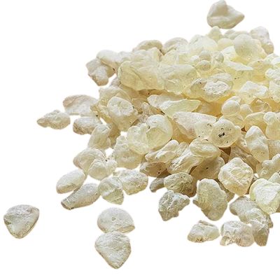 Mastic Gum