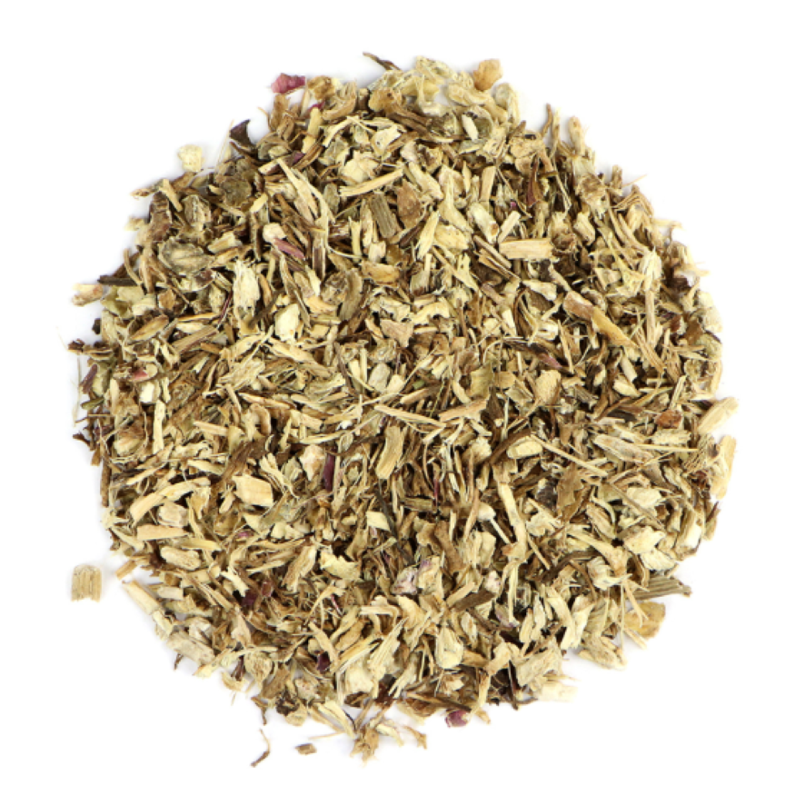 Echinacea