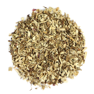 Echinacea