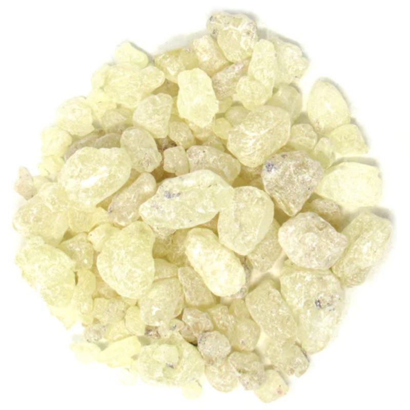 Copal (House)