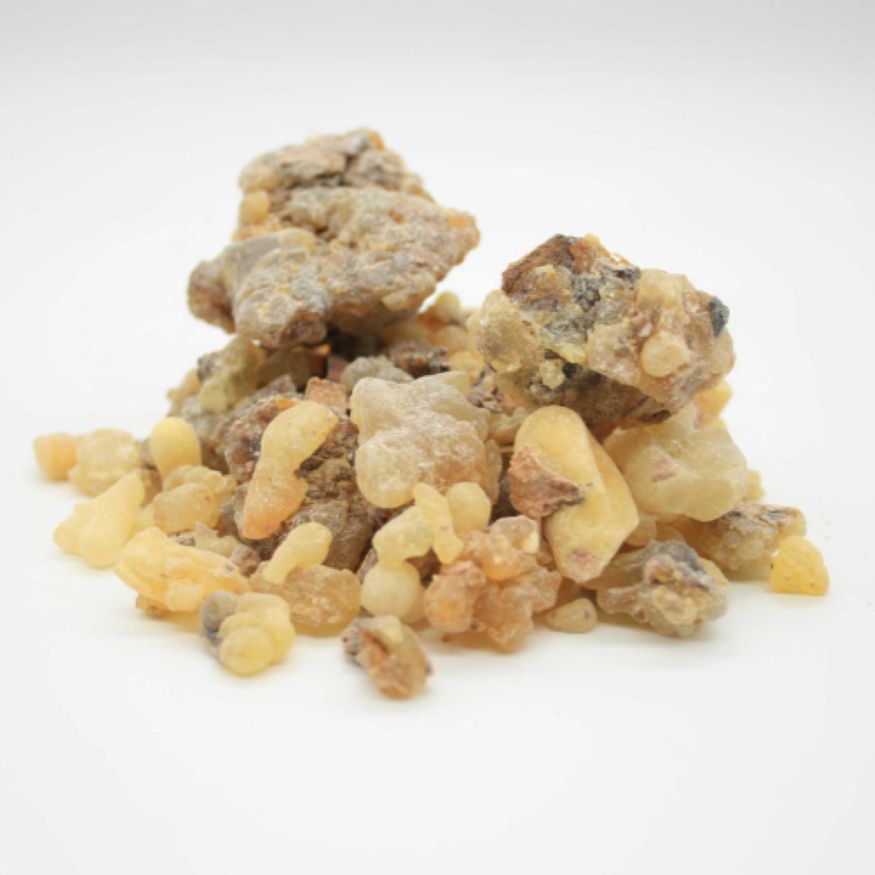 Frankincense - Aden (1st Choice)