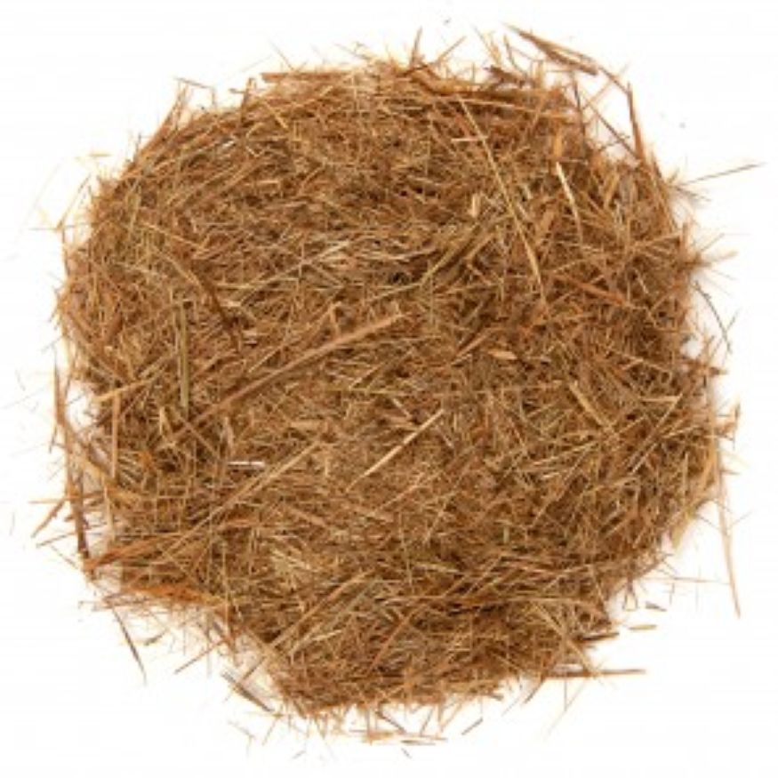 Sweet Grass