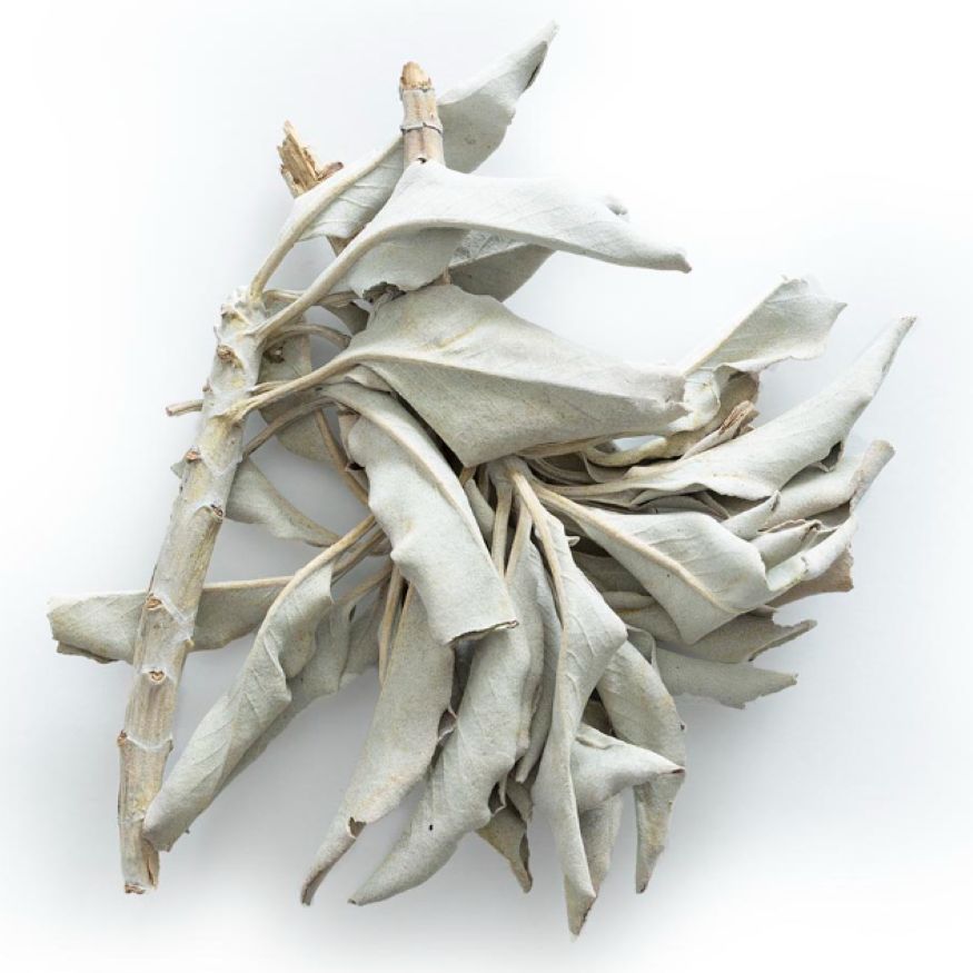 Sage (White)
