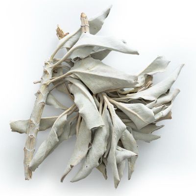 Sage (White)