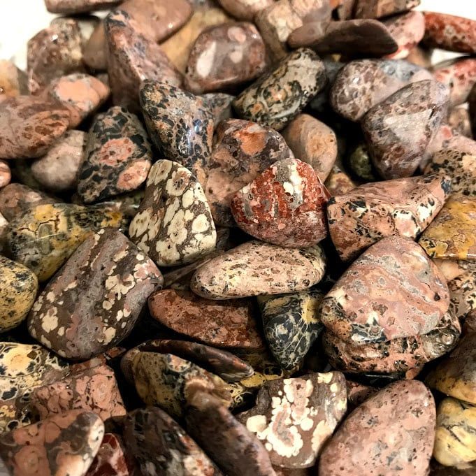 Leopard Skin Jasper