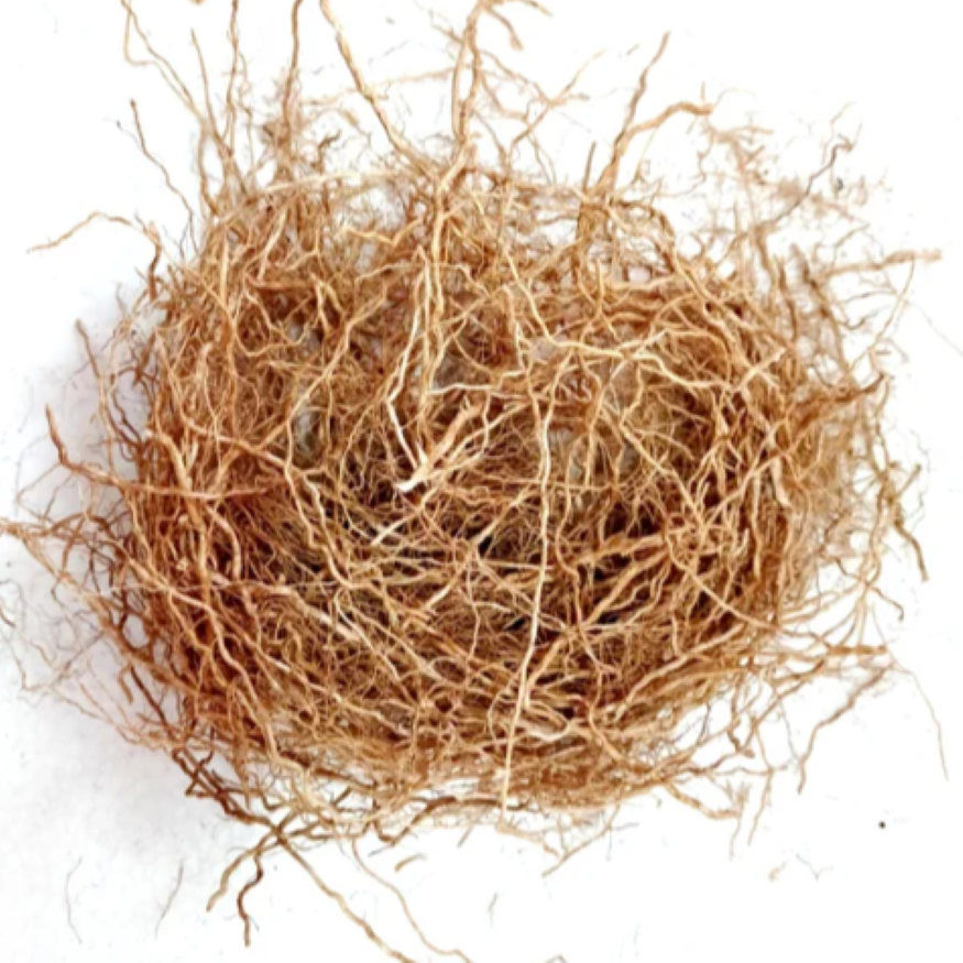 Vetiver Essential Oil