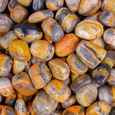 Bumblebee Jasper