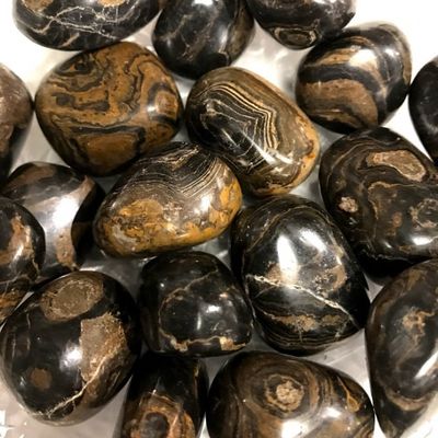 Stromatolite