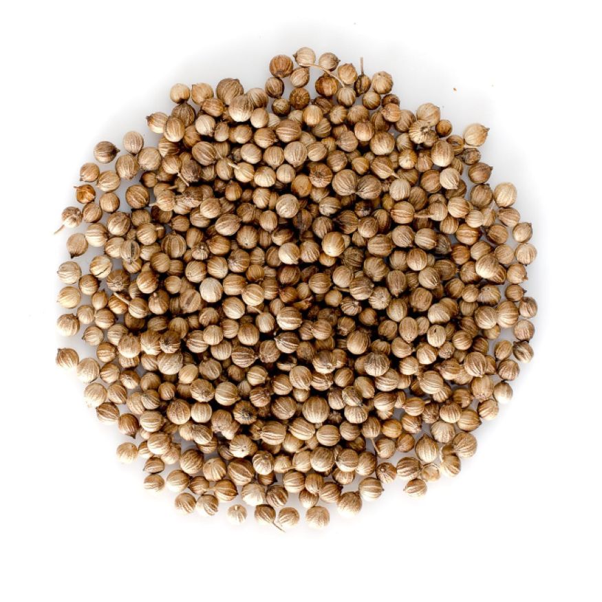Coriander Essential Oil