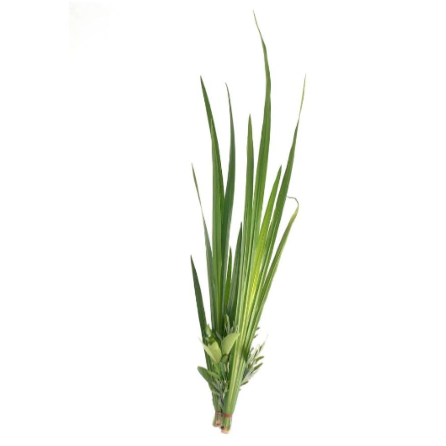 Palmarosa Essential Oil