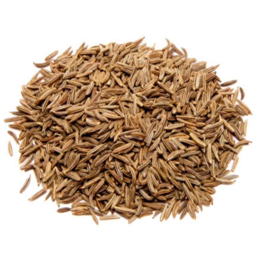 Caraway Essential Oil