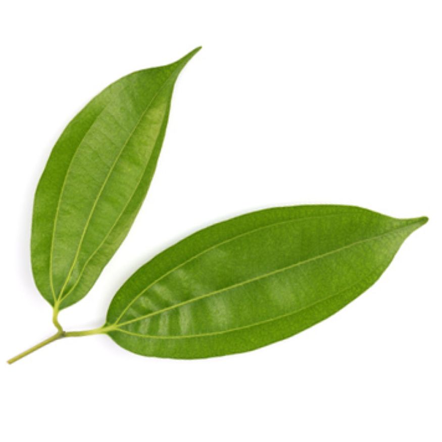 Peru Balsam Essential Oil