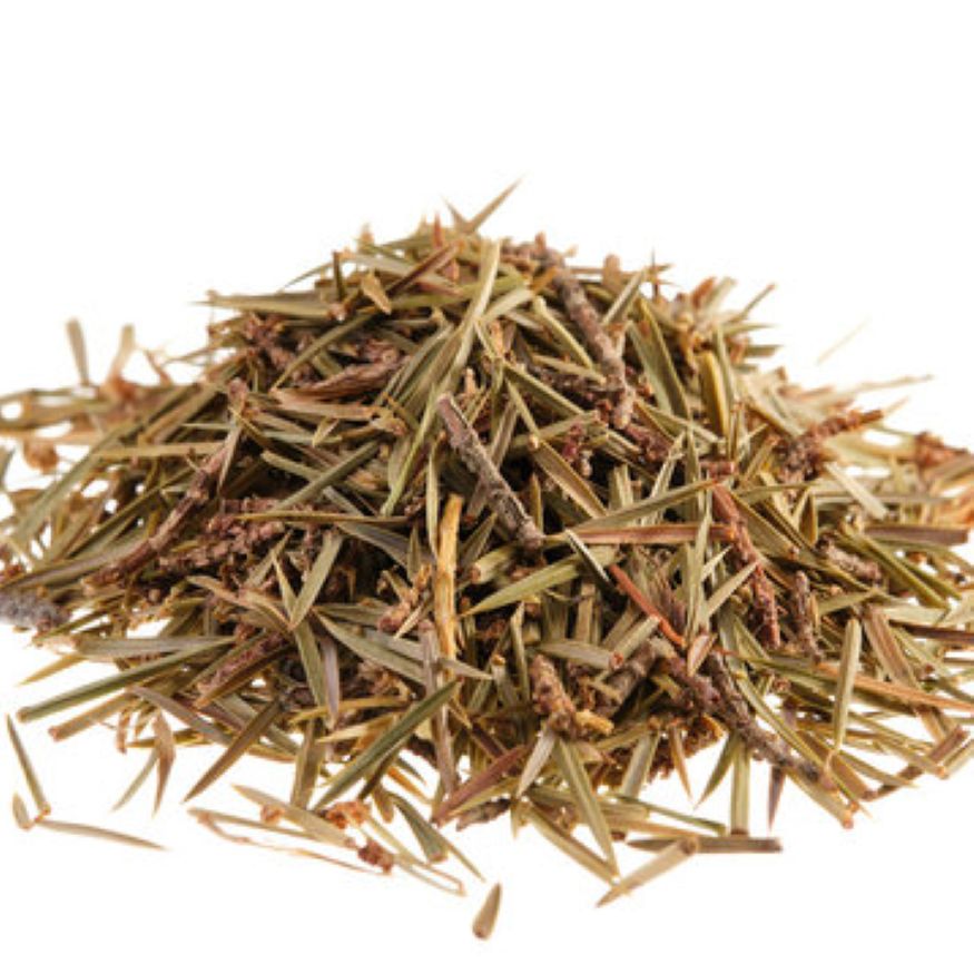 Juniper Essential Oil