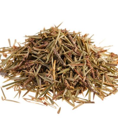 Juniper Essential Oil