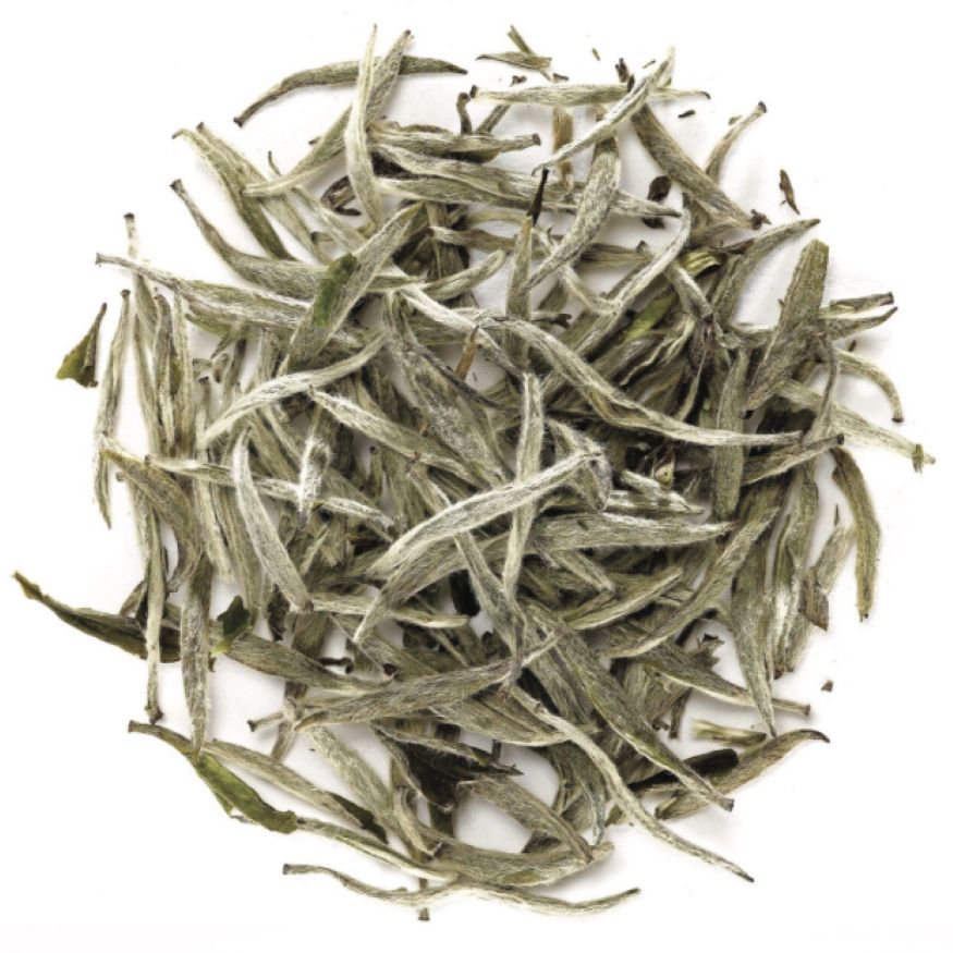 White Tea Essential Oil