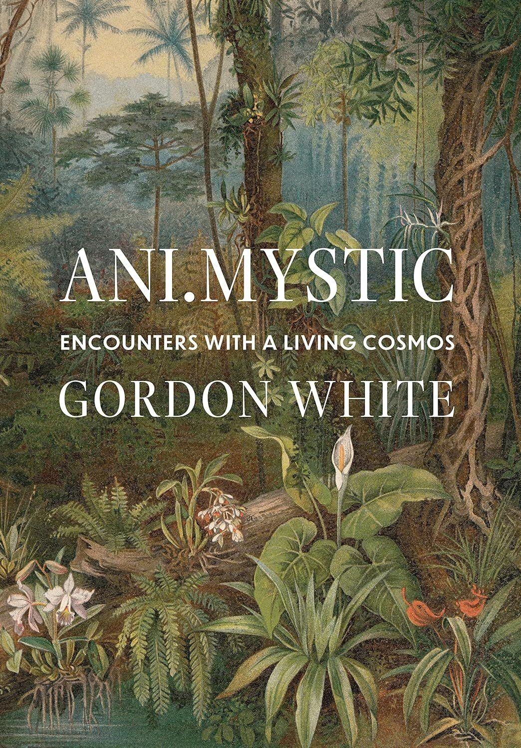 Ani.Mystic: Encounters with a Living Cosmos