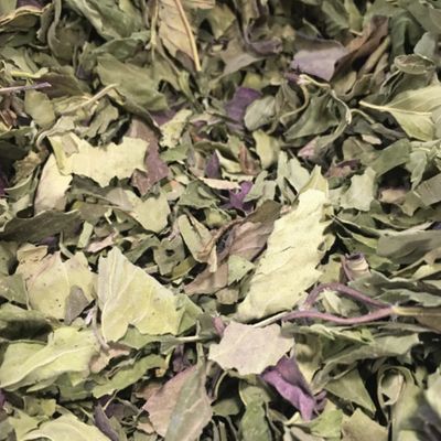 Bergamot Essential Oil