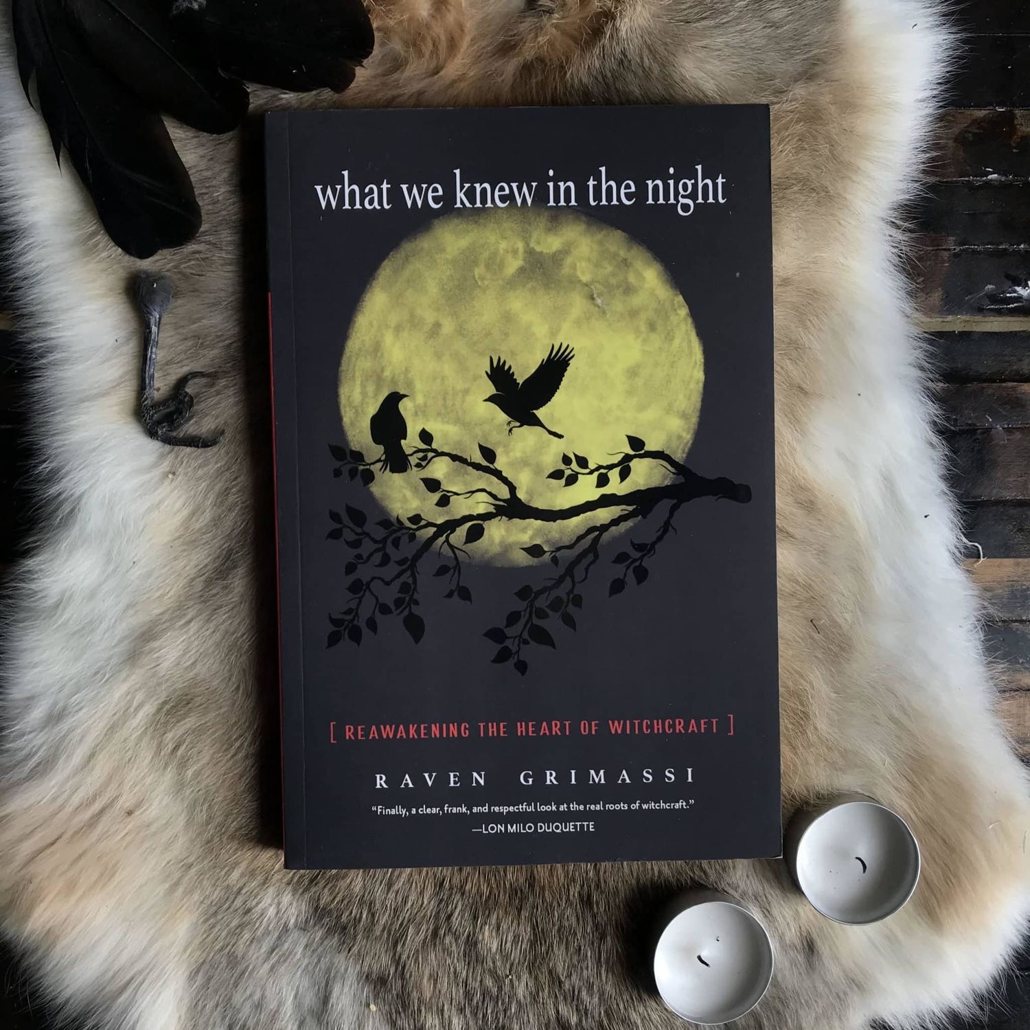 What We Knew in the Night: Reawakening the Heart of Witchcraft