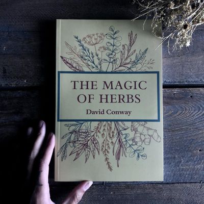 The Magic Of Herbs