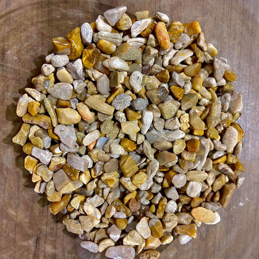 Fossil Coral Chips 1oz (Crystal Chip Bar)