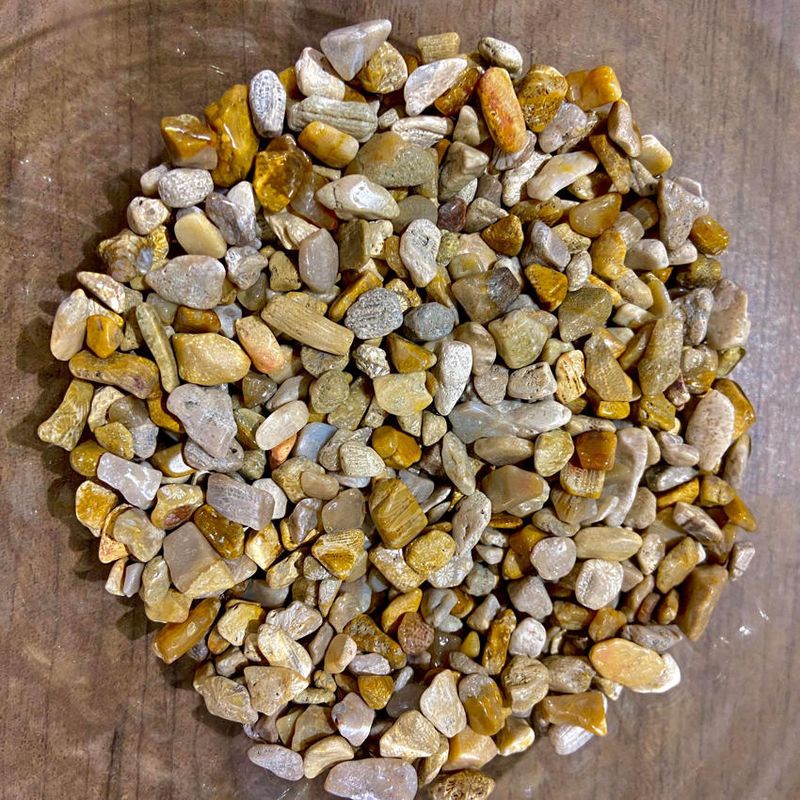 Fossil Coral Chips 1oz (Crystal Chip Bar)