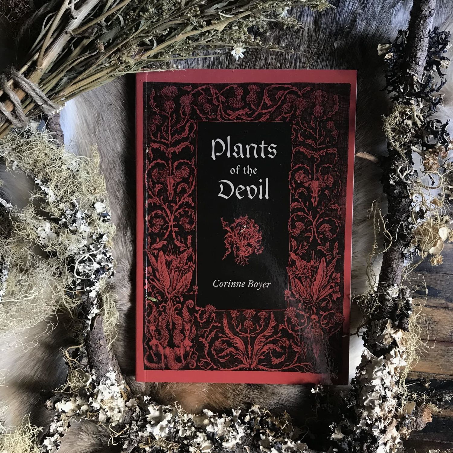 Plants of the Devil