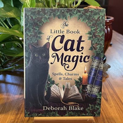 THE LITTLE BOOK OF CAT MAGIC: Spells, Charms &amp; Tales (H)