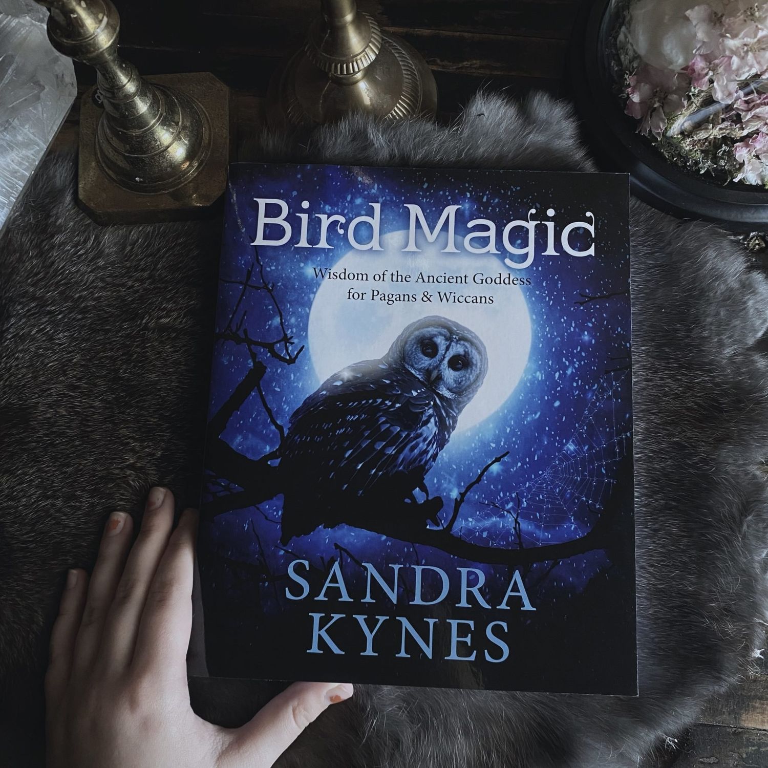 BIRD MAGIC: Wisdom Of The Ancient Goddess For Pagans &amp; Wiccans