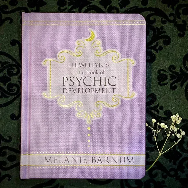 LLEWELLYN&#39;S LITTLE BOOK OF PSYCHIC DEVELOPMENT (H)