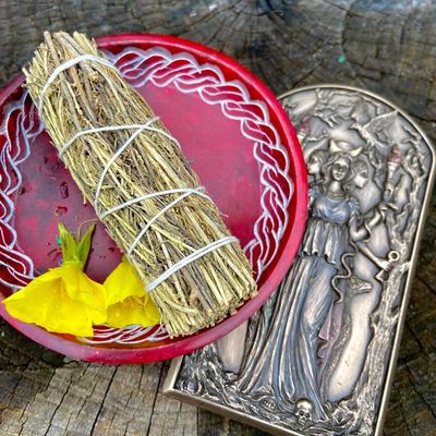 Medium Smudge High Desert Sage 4 Inches