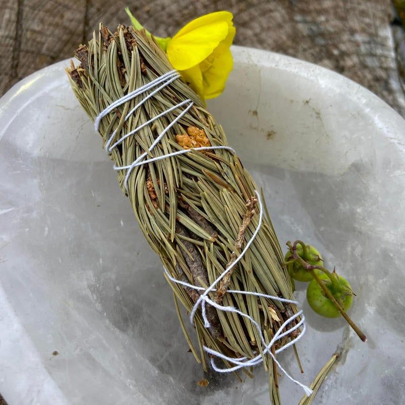 Medium Smudge Pine
