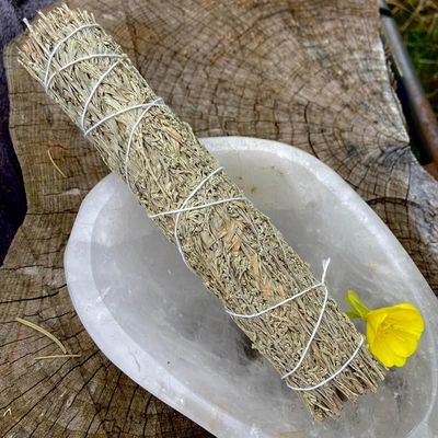 Large Smudge Feathery Sage 9 Inches