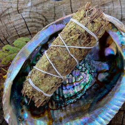 Medium Smudge Oregano 4 Inches