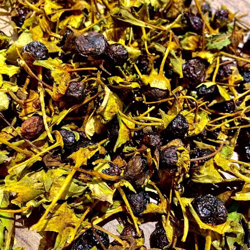 Belladonna Berries