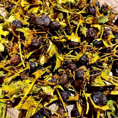 Belladonna Berries 1/4 oz