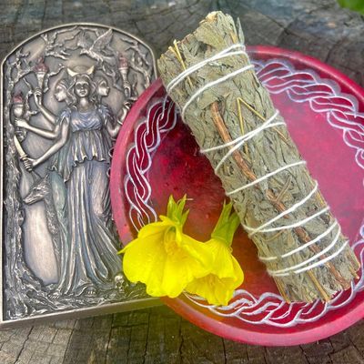 Medium Smudge Mugwort 4 Inches