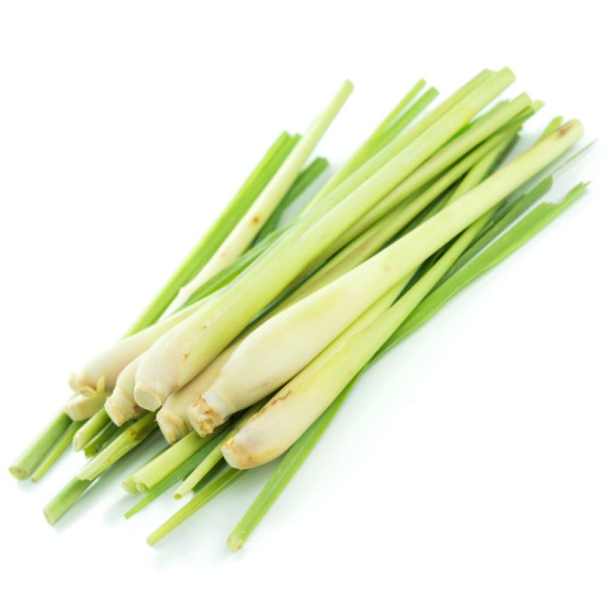 Ginger Grass Essential Oil