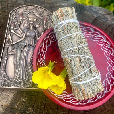 Medium Smudge Blue Sage  4 Inches