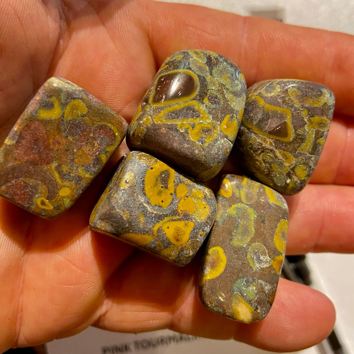 Flower Jasper