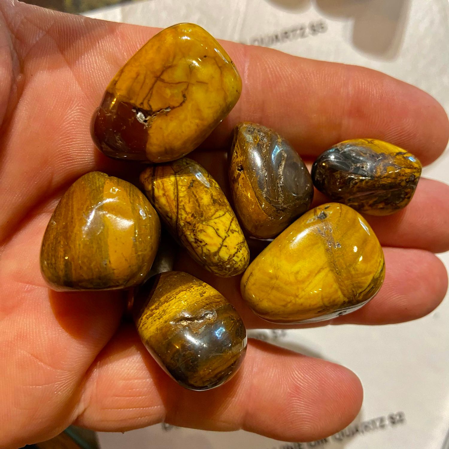 Desert Sunset Jasper