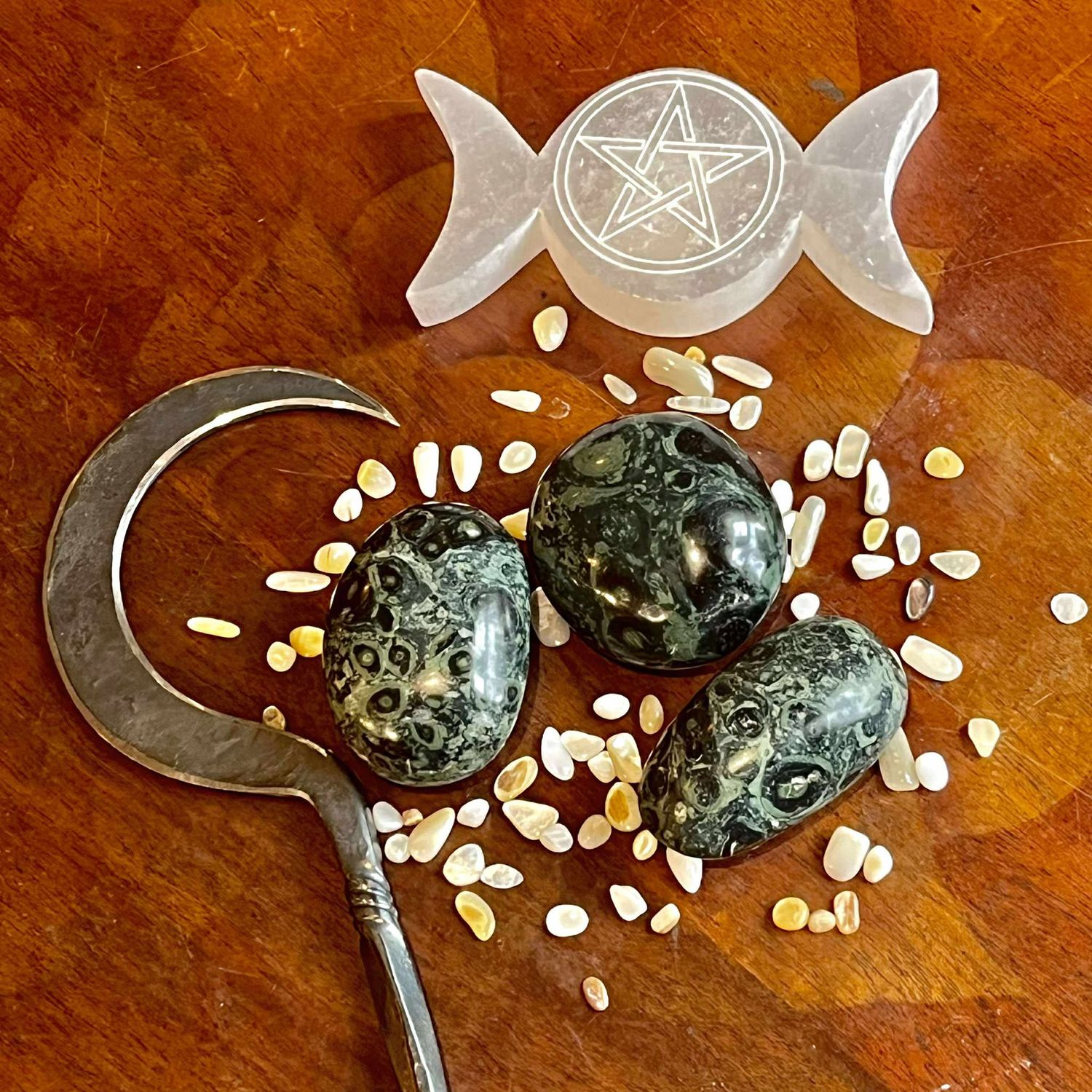 Crocodile Jasper Palm Stone