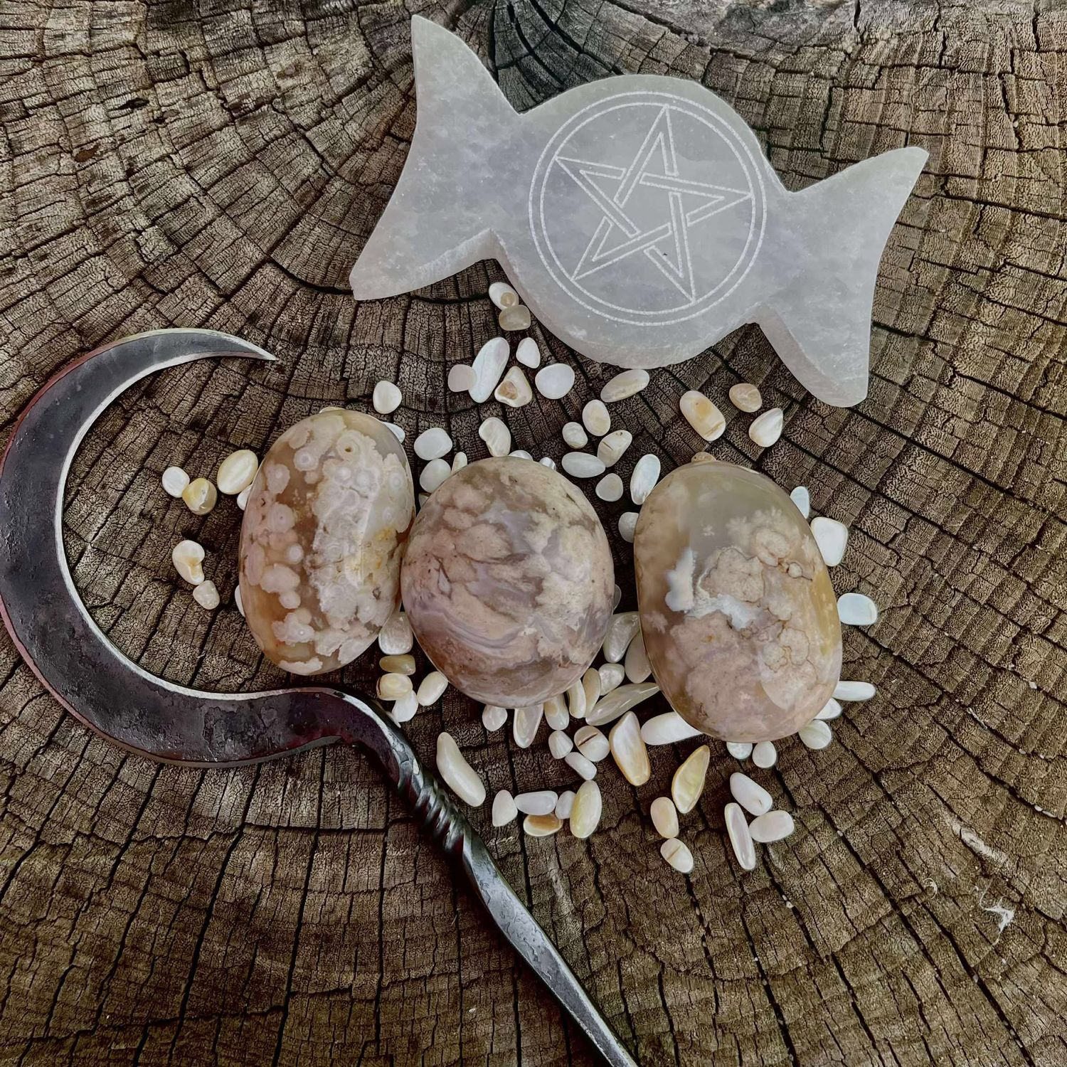 Flower Agate Palm Stone