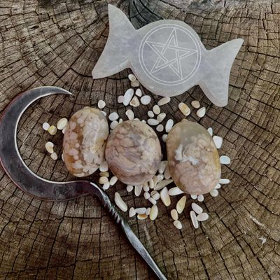 Flower Agate Palm Stone
