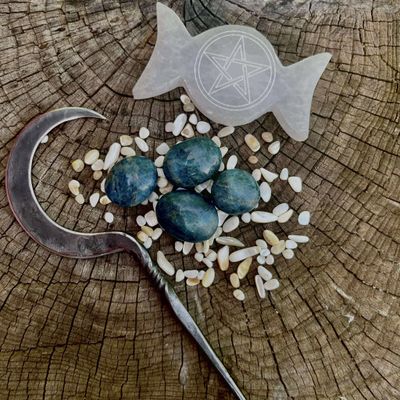 Apatite Palm Stone