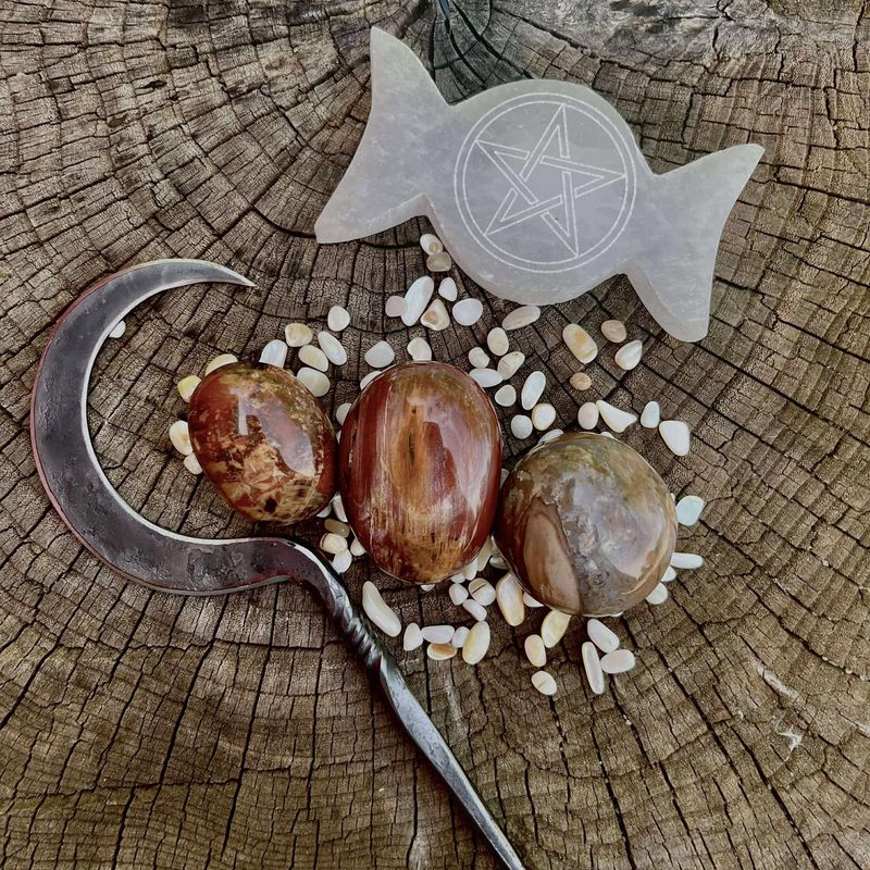 Petrified Wood Palm Stone
