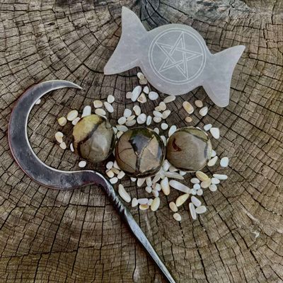 Septarian Palm Stone