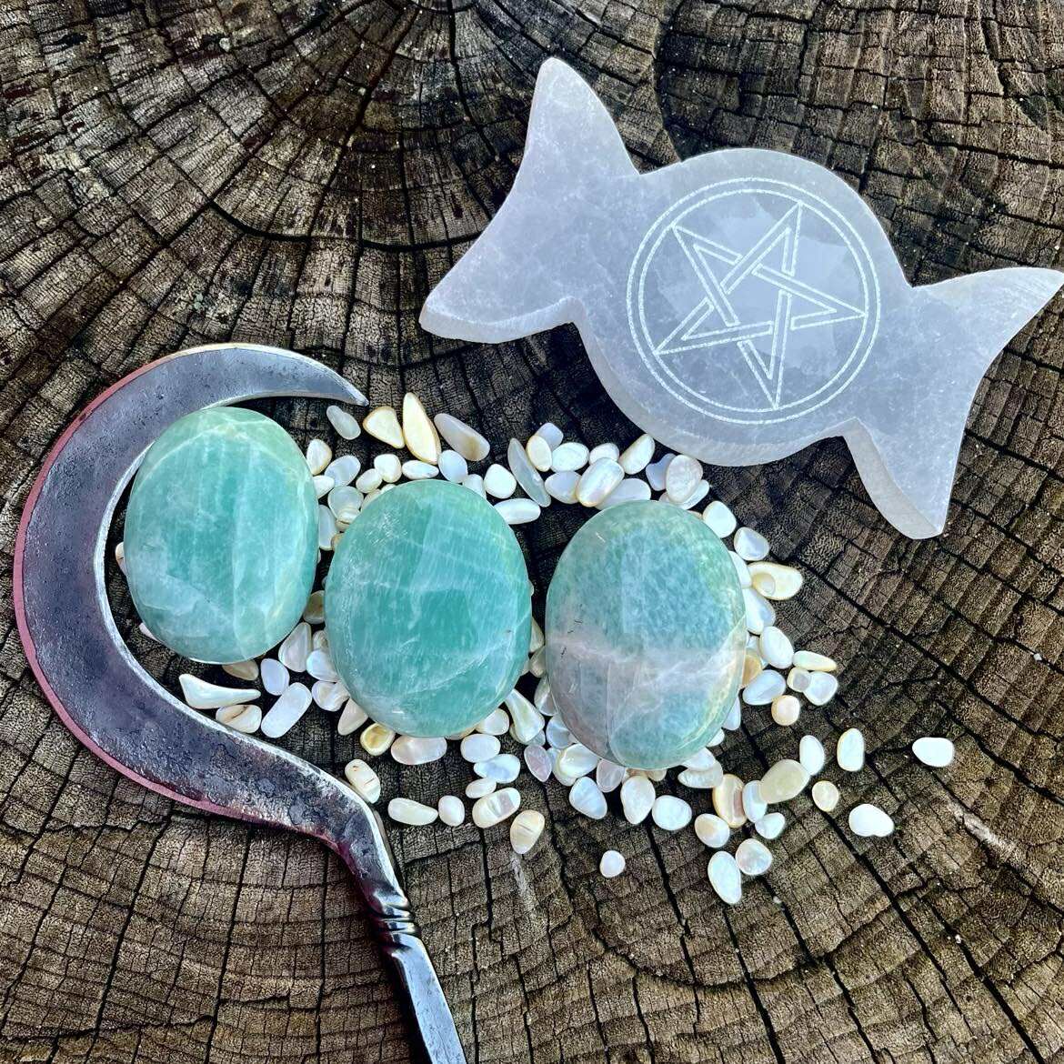 Amazonite Palm Stone