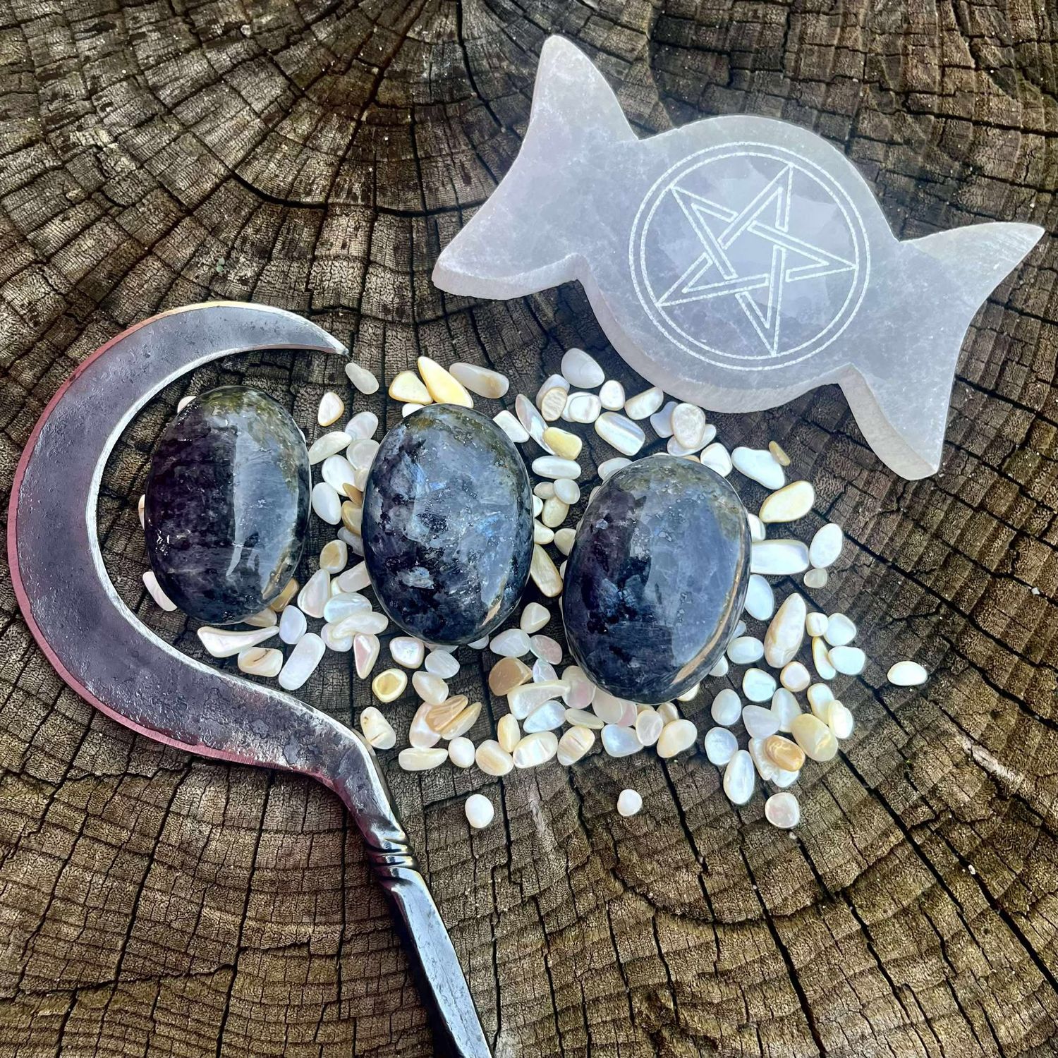 Larvikite Palm Stone