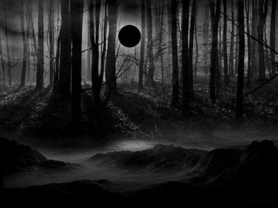 Dark Moon Witchcraft and WIcca Blog